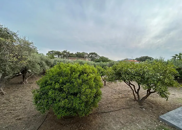 Lina's Amazing House In Ialysos *