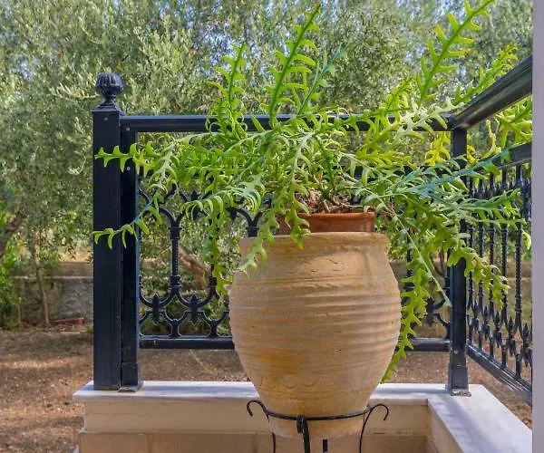 빌라 Lina's Amazing House In Ialysos 익시아