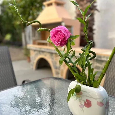 Lina's Amazing House In Ialysos * Ixia (Rhodes)