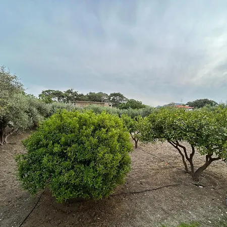 Lina's Amazing House In Ialysos *